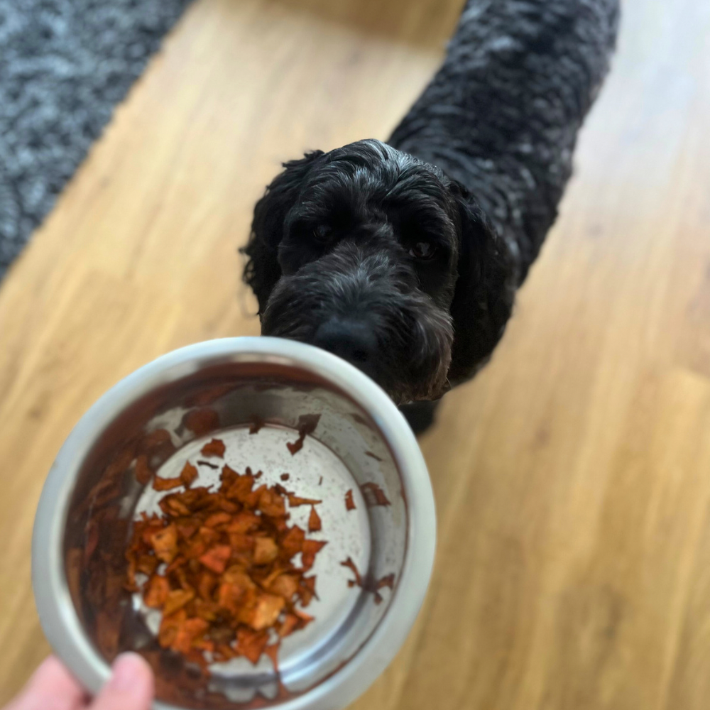 Best Furry Friend Liver Coated Carrot Dog Sprinkle Treats
