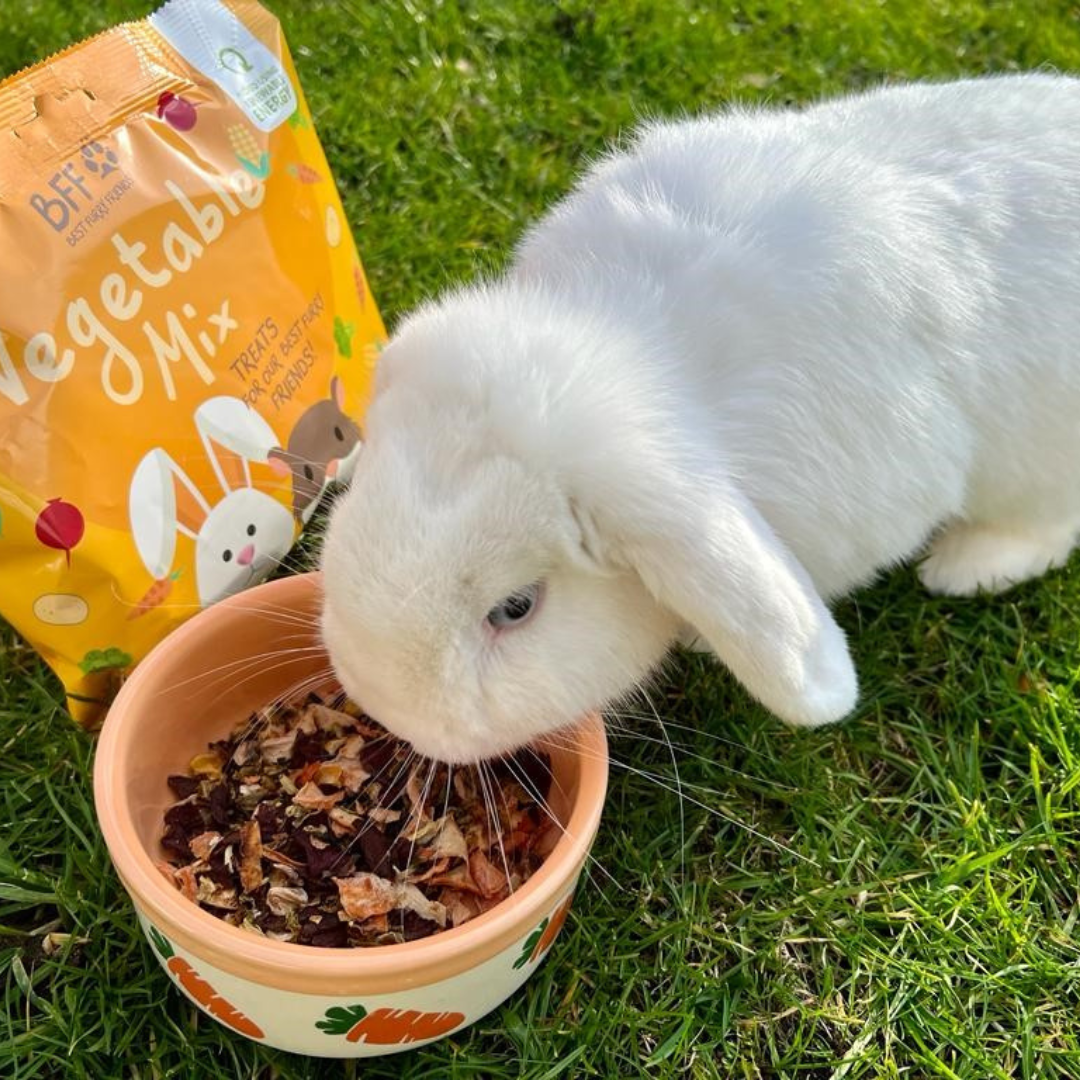 Vegetable Mix Treats For Guinea Pigs | Small Animal Treats | BFF – Best ...