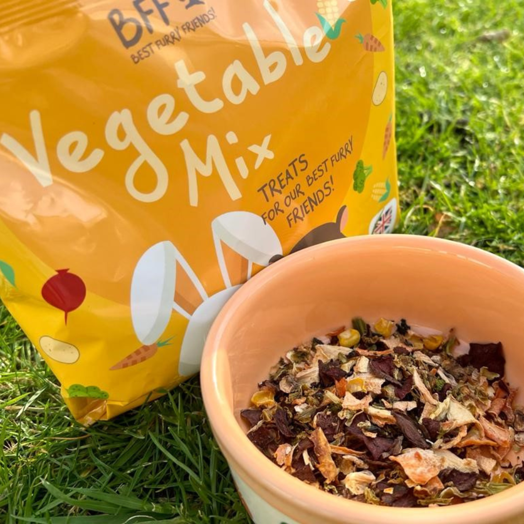 Vegetable Mix Treats For Guinea Pigs | Small Animal Treats | BFF – Best ...