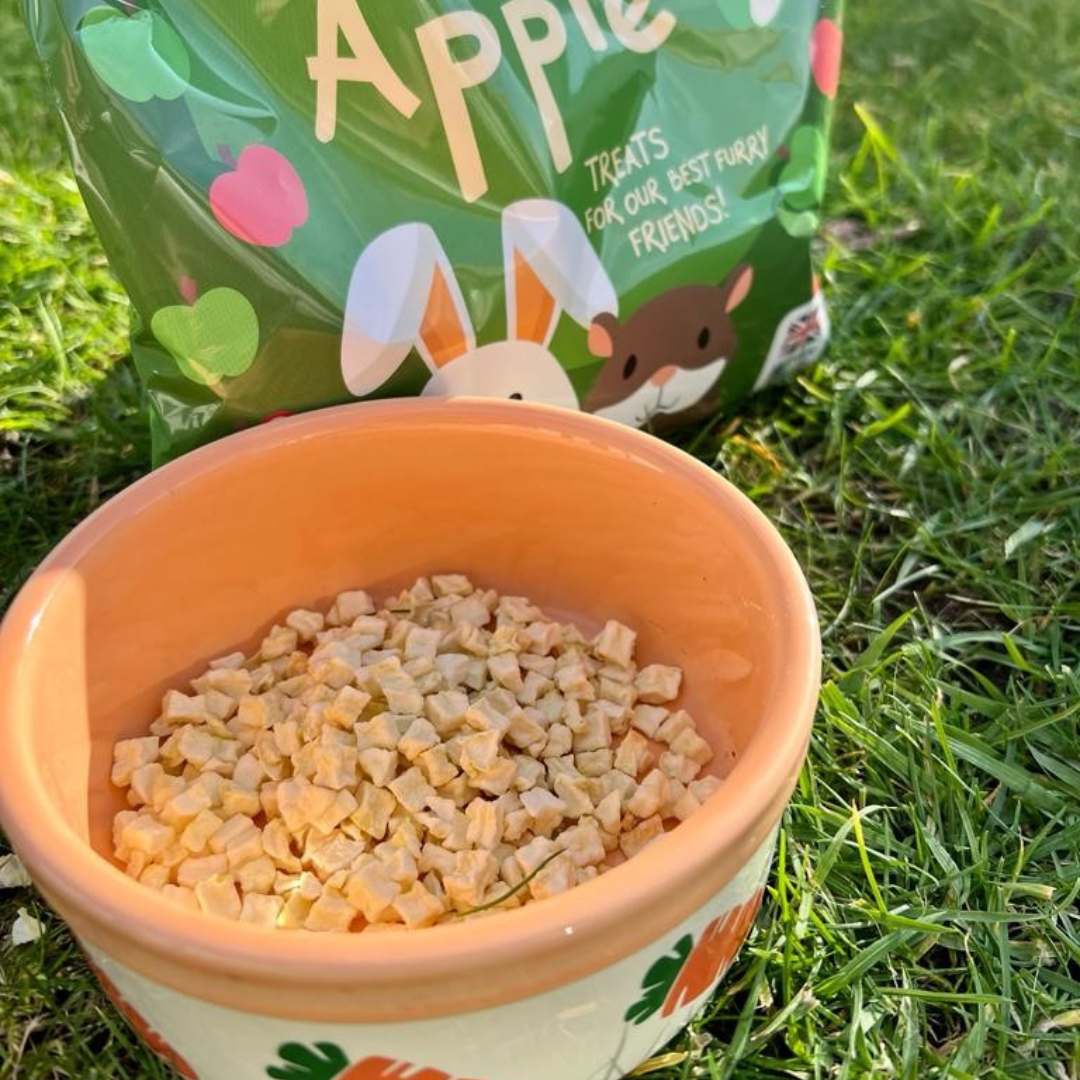 Small Animal Treats | Dried Apple For Rabbits Rats Hamsters Gerbils