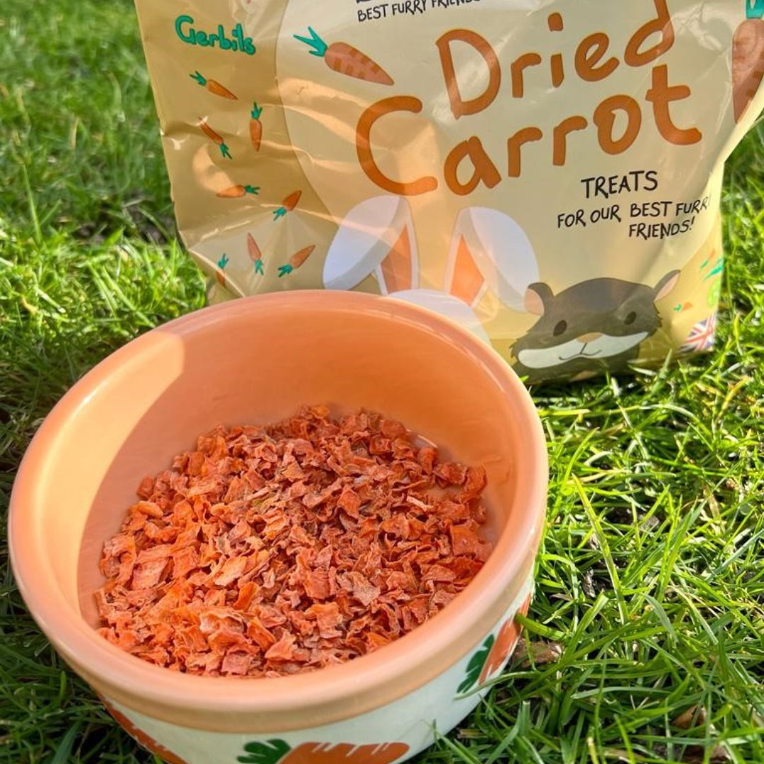 Best treats for gerbils best sale