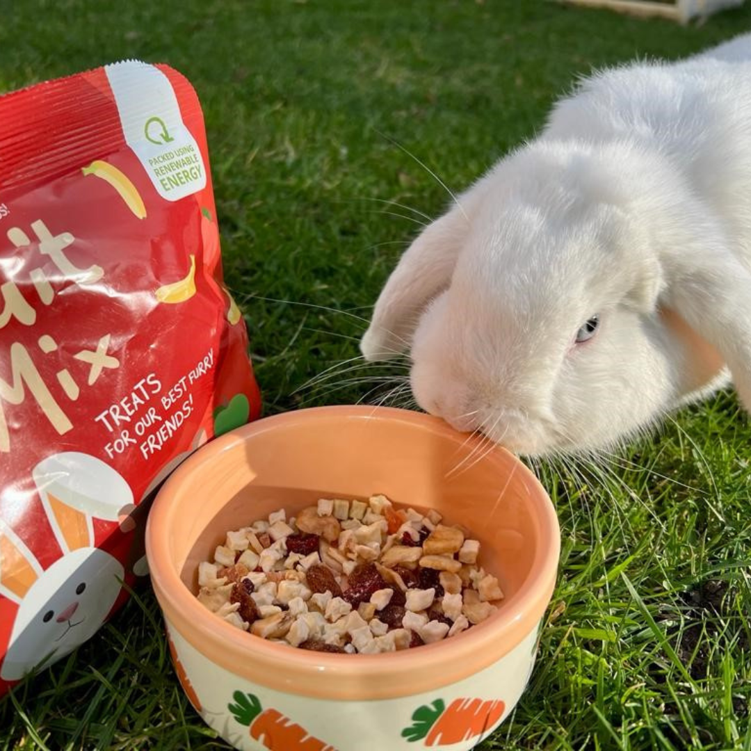 Fruit Mix Treats For Rabbits Small Animal Treats BFF Best