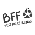 Best Furry Friend